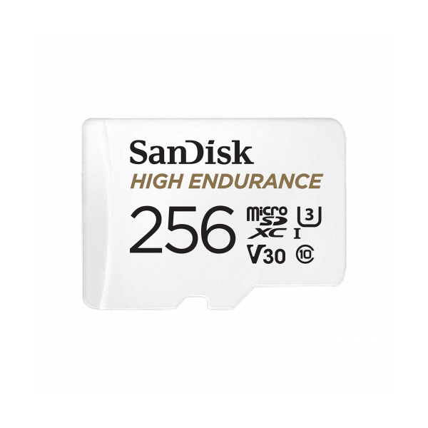 Sandisk micro SD High Endurance (256GB)
