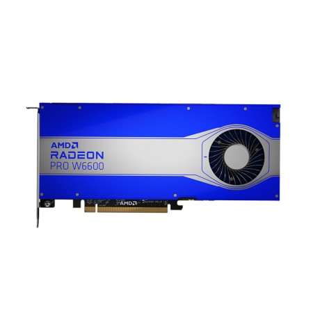 AMD 라데온 PRO W6600 D6 8GB 대원CTS